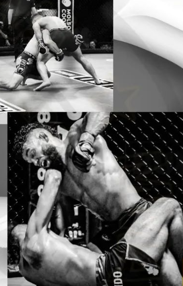 mma-free-fighters-team